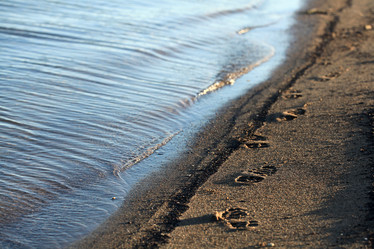 Similar image 10497931