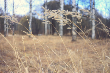 Similar image 10497936