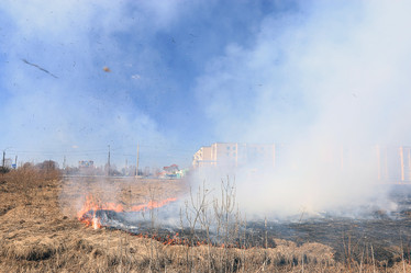 Similar image 10497942