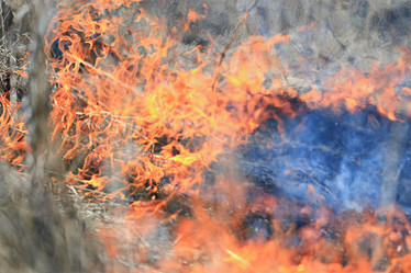 Similar image 10497944