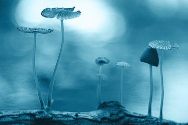 Similar image 10497947