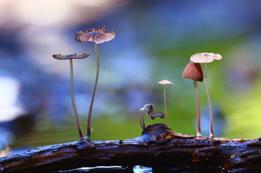 Similar image 10497949