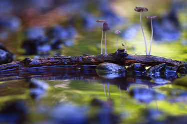 Similar image 10497950