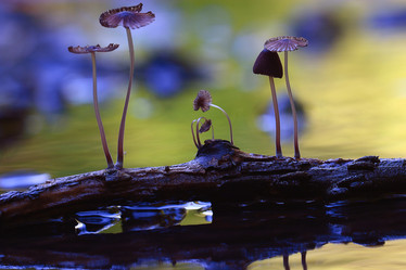 Similar image 10497951