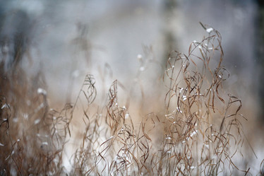 Similar image 10497954