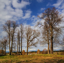 Similar image 10497963