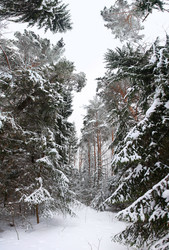 Similar image 10497973