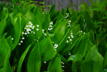 Similar image 10497977