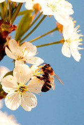 Similar image 10497978