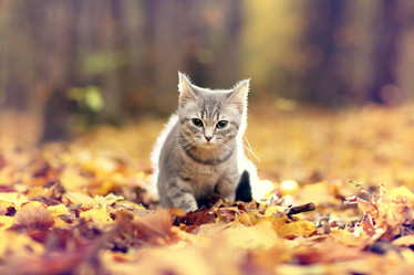 Similar image 10497980