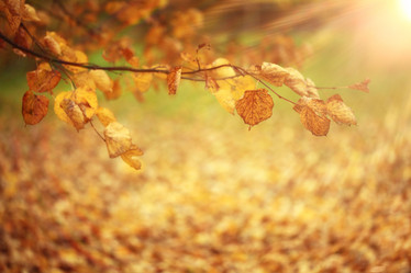 Similar image 10497981