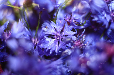 Similar image 10497985