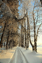 Similar image 10497989