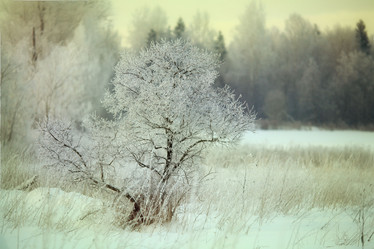 Similar image 10497990