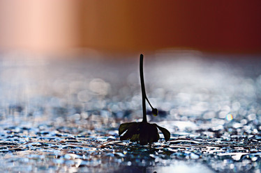 Similar image 10498000