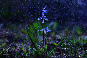 Similar image 10498023