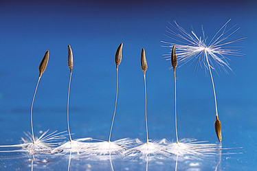 Similar image 10498026