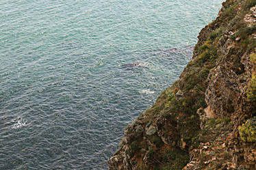 Similar image 10498030