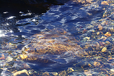 Similar image 10498033