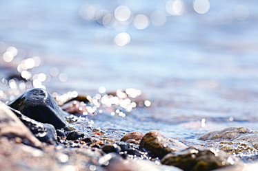 Similar image 10498042