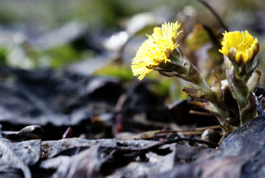 Similar image 10498051