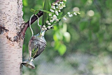 Similar image 10498060