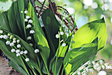 Similar image 10498062