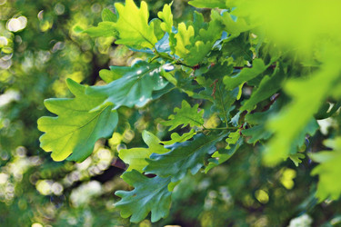 Similar image 10498067