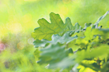 Similar image 10498069