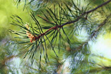 Similar image 10498070