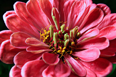 Similar image 10498075