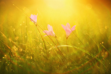 Similar image 10498076