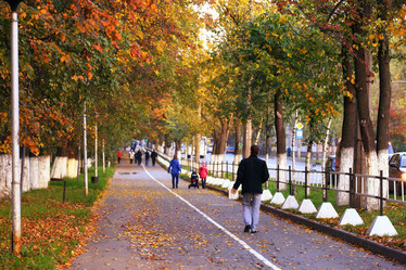 Similar image 10498084