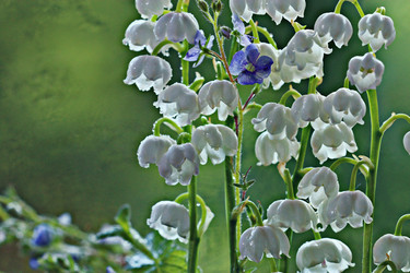 Similar image 10498095