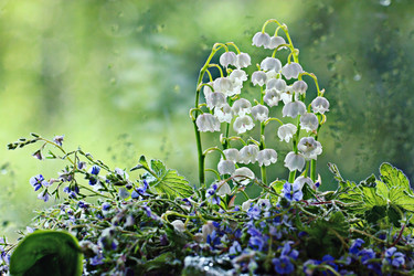 Similar image 10498099