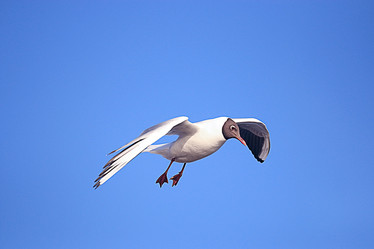 Similar image 10498103