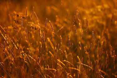 Similar image 10498105