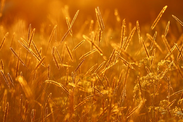 Similar image 10498106