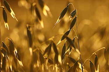 Similar image 10498107