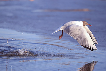 Similar image 10498108