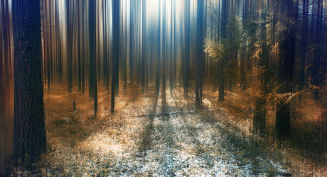 Similar image 10498112