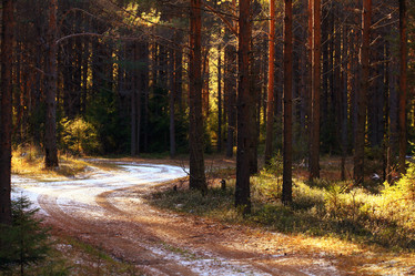 Similar image 10498114