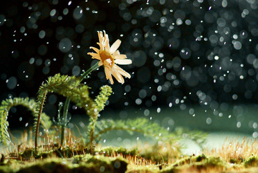 Similar image 10498127