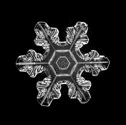 Similar image 10498129