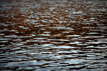 Similar image 10498132