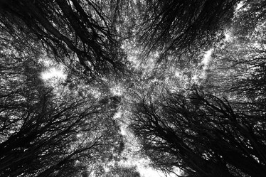 Similar image 10498134