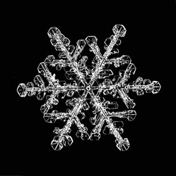 Similar image 10498135