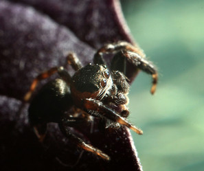 Similar image 10498140