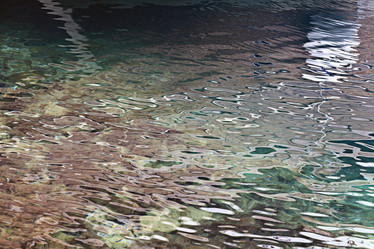 Similar image 10498152