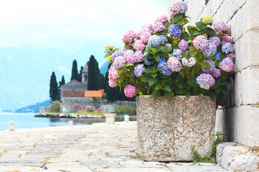 Similar image 10498154